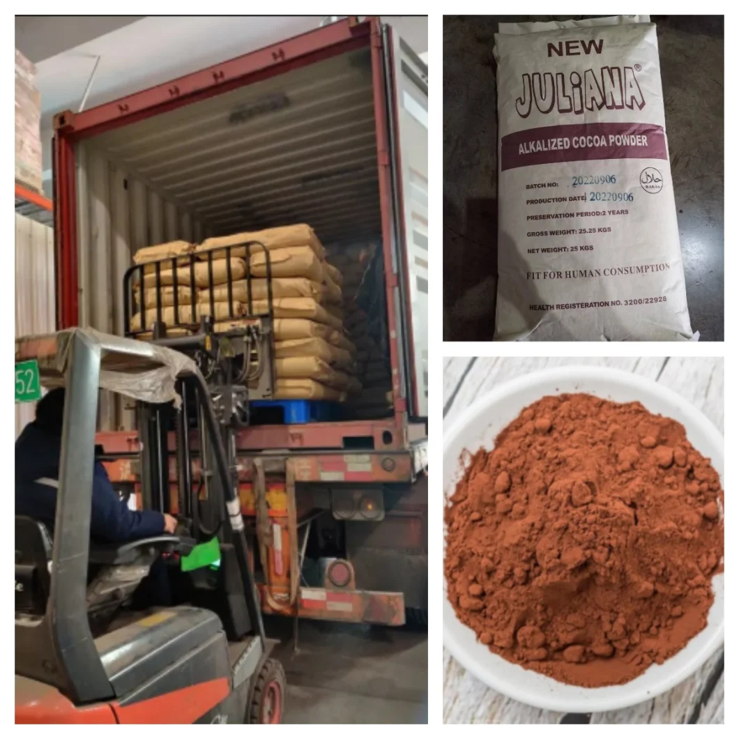 Alkalized Cocoa Powder Cocoa Powder Natural for Baking & Hot Chocolate