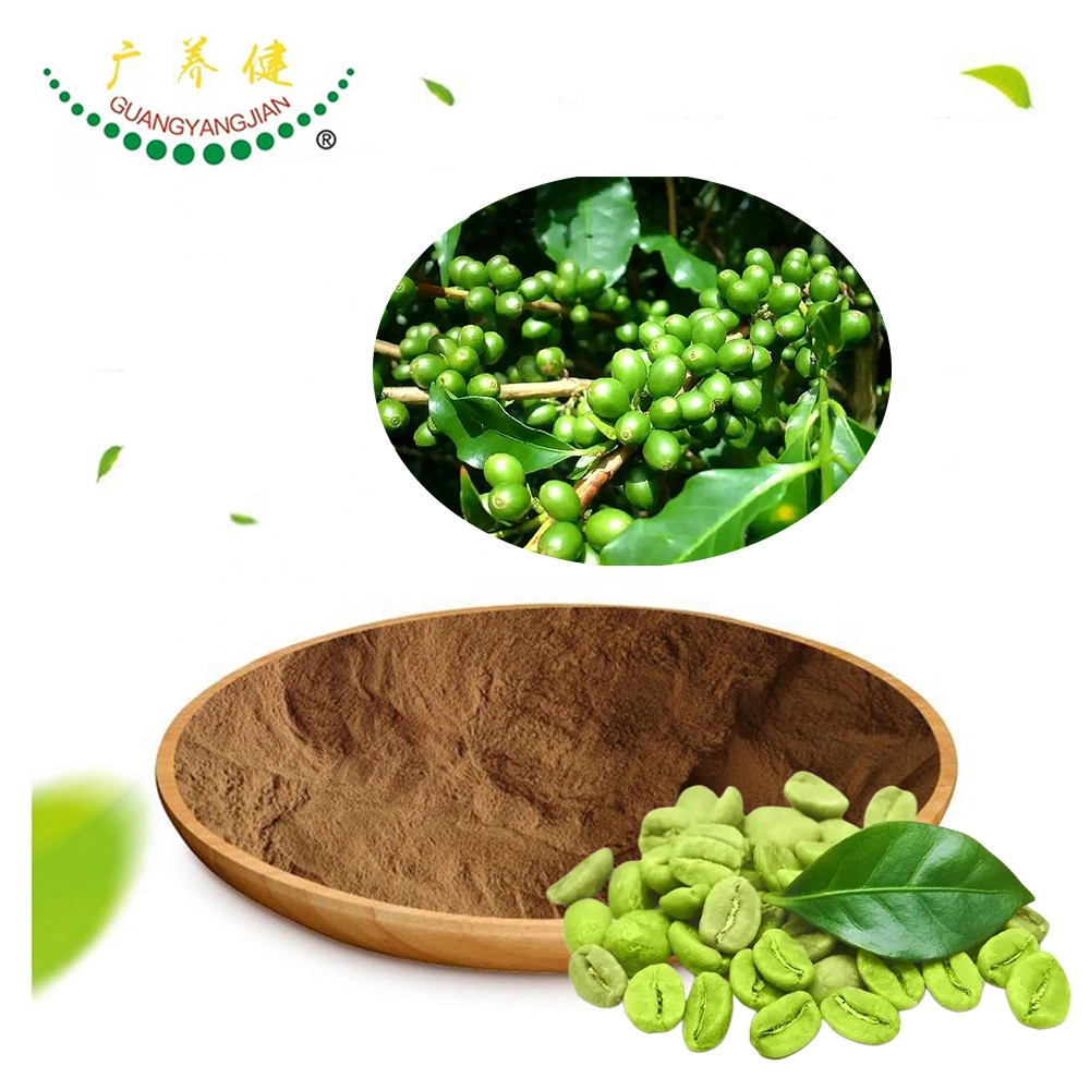 Weight Loss Food Green Coffee Bean Extract Chlorogenic Acid Powder 10%-50%