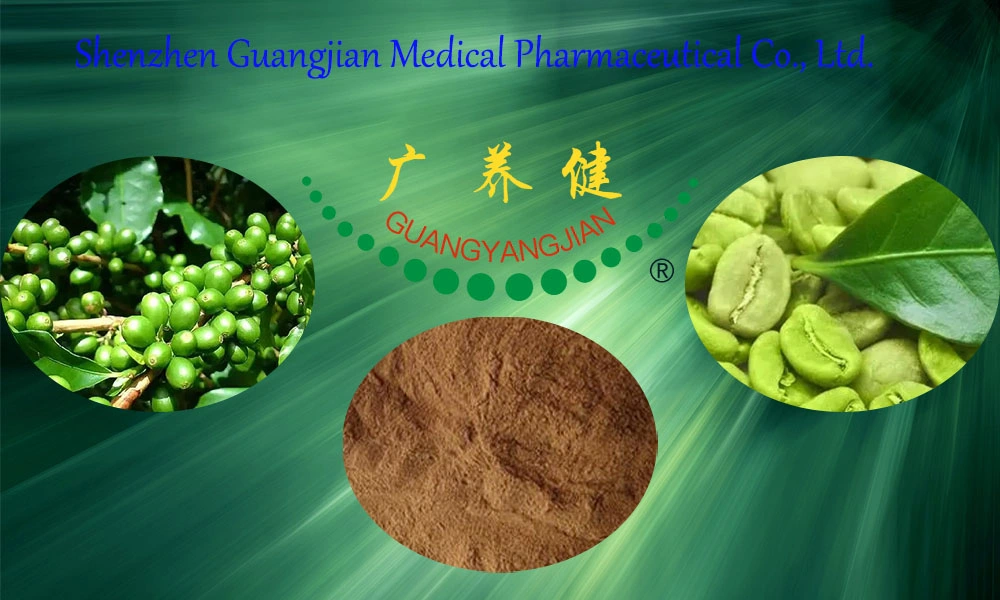 Weight Loss Food Green Coffee Bean Extract Chlorogenic Acid Powder 10%-50%
